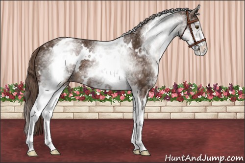 Horse Color:White Spotted Liver Chestnut Snowflake Varnish