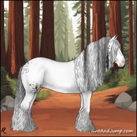 Horse Color:White Spotted Brown 