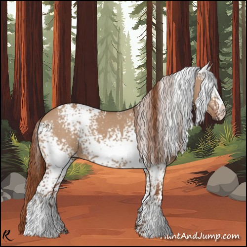 Horse Color:White Spotted Red Dun