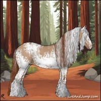 Horse Color:White Spotted Red Dun 