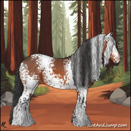 Horse Color:White Spotted Bay 