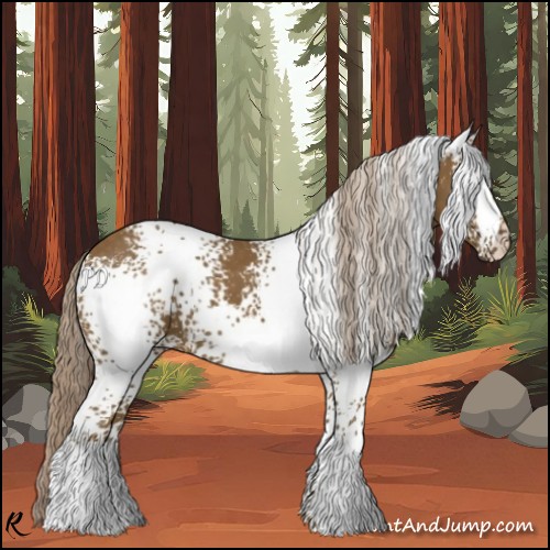 Horse Color:White Spotted Chocolate Palomino 