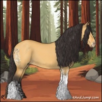 Horse Color:White Spotted Buckskin Dun 