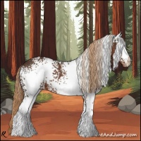 Horse Color:White Spotted Liver Chestnut Varnish 