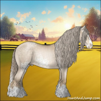 Horse Color:White Spotted Chocolate Palomino Pearl Splash 