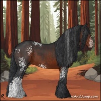 Horse Color:White Spotted Brown 