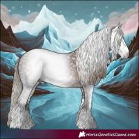 Horse Color:Gray White Spotted Liver Chestnut