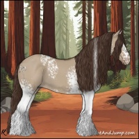 Horse Color:White Spotted Liver Red Dun