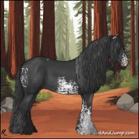 Horse Color:White Spotted Black 
