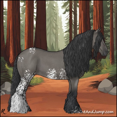 Horse Color:White Spotted Grullo Roan 
