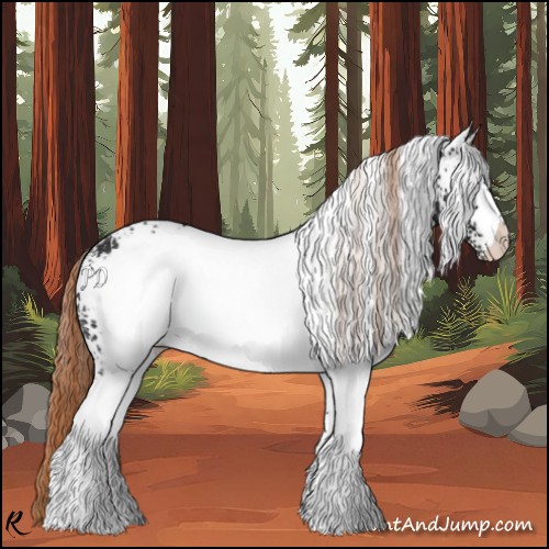 Horse Color:White Spotted Liver Chestnut Appaloosa 