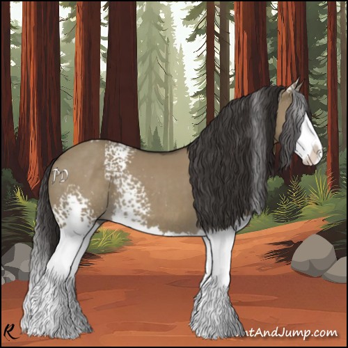 Horse Color:White Spotted Smoky Grullo Splash Rabicano