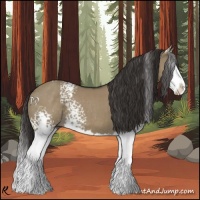 Horse Color:White Spotted Smoky Grullo Splash Rabicano