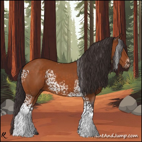 Horse Color:White Spotted Buckskin Sabino Rabicano 
