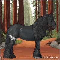 Horse Color:White Spotted Black 