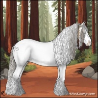 Horse Color:White Spotted Chocolate Palomino Splash 