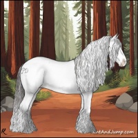 Horse Color:White Spotted Smoky Black Splash 