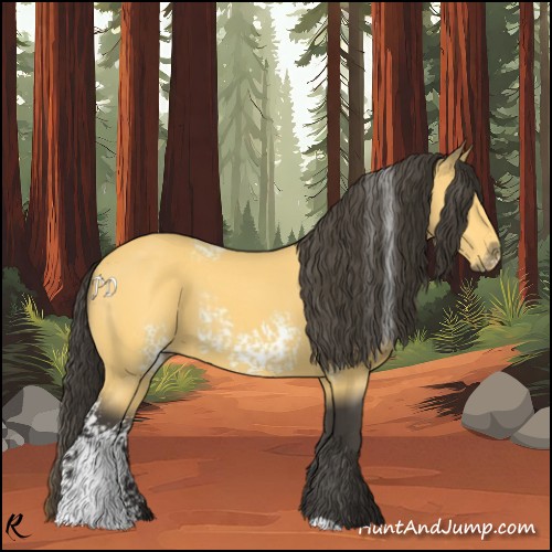 Horse Color:White Spotted Buckskin 