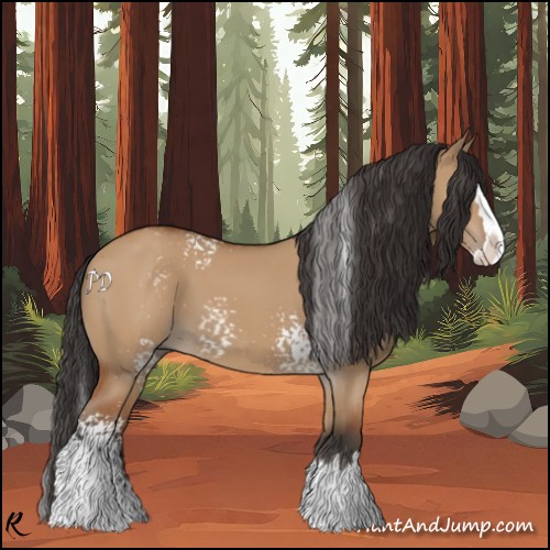 Horse Color:White Spotted Bay Dun Splash 