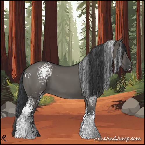 Horse Color:White Spotted Grullo