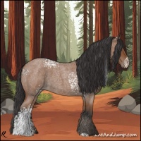 Horse Color:White Spotted Bay Roan