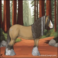 Horse Color:White Spotted Buckskin Splash 