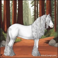 Horse Color:White Spotted Smoky Grullo Splash Appaloosa 