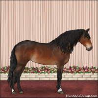 Horse Color:Gray Brown Sabino 