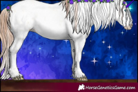 Horse Color:White Spotted Sable Champagne Pearl Dun Sabino Rabicano