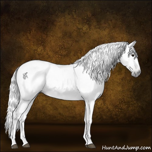 Horse Color:Gray Brown 