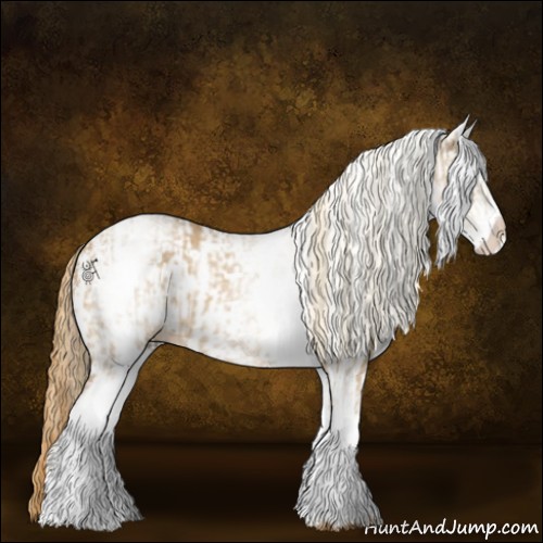 Horse Color:White Spotted Red Dun Rabicano and White Spotted Red Dun Rabicano