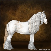 Horse Color:White Spotted Red Dun Rabicano  and White Spotted Red Dun Rabicano 