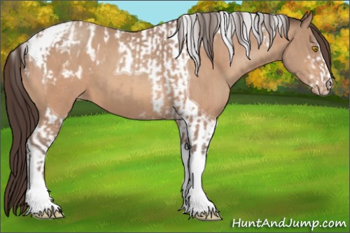 Horse Color:Amber Champagne Sabino Tobiano Blanket  and Amber Champagne Sabino Tobiano Varnish 