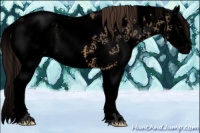 Horse Color:Void Buckskin Dun Sabino Splash Appaloosa 