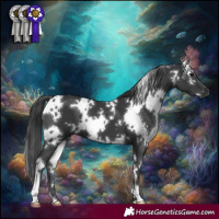 Horse Color:White Spotted Black