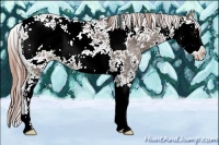 Horse Color:Liver Chestnut Ice Sabino 