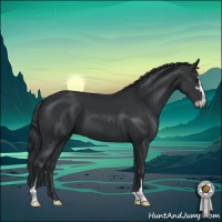 Horse Color:Black Sabino