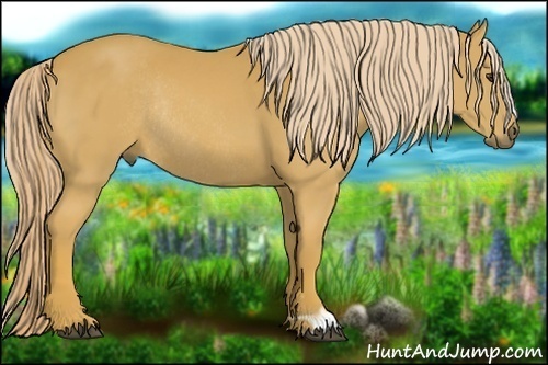 Horse Color:Palomino Rabicano