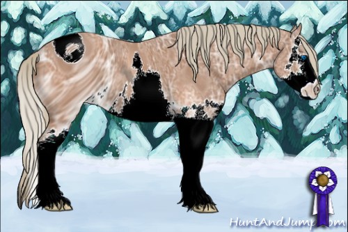 Horse Color:ERROR: UNKNOWN ANOMALY