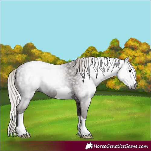 Horse Color:Gray Silver Black Ice 