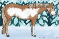 Horse Color:Chestnut Frame 