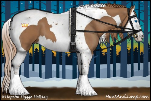 Horse Color:Chestnut Splash Tobiano 