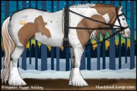 Horse Color:Chestnut Splash Tobiano 