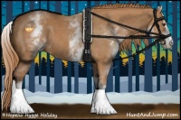 Horse Color:White Spotted Chestnut 