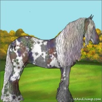 Horse Color:Nacre White Spotted Silver Black Chinchilla 