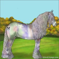 Horse Color:Nacre White Spotted Silver Blue Onyx Chinchilla Sabino 