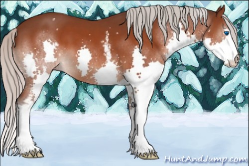 Horse Color:White Spotted Silver Bay Splash 