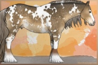 Horse Color:White Spotted Chocolate Palomino