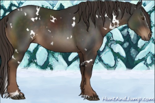 Horse Color:White Spotted Liver Chestnut Sabino