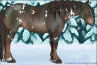 Horse Color:White Spotted Liver Chestnut Sabino